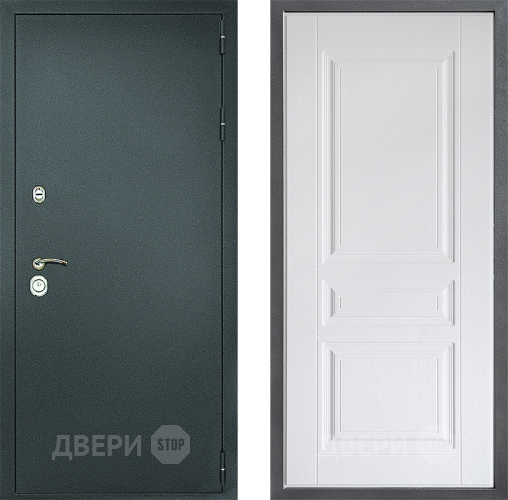 Входная металлическая Дверь Дверной континент Рубикон Серебро Дизайн ФЛ-243 Альберо Браш серебро в Раменском