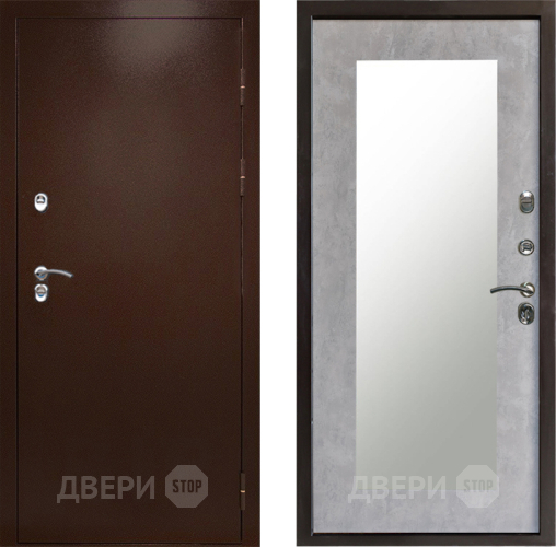 Входная металлическая Дверь Престиж TERMO с терморазрывом Снегирь Медь Зеркало пастораль Бетон светлый в Раменском