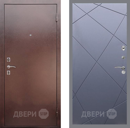 Дверь Рекс (REX) 1 FL-291 Силк титан в Раменском